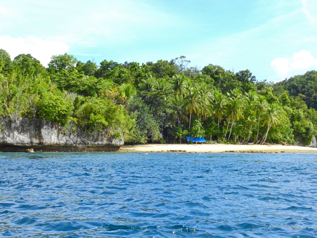 Boottocht langs de eilandjes [00752] 29-jul-2018 (Raja Ampat, Waigeo).jpg - Boottocht langs de eilandjes
