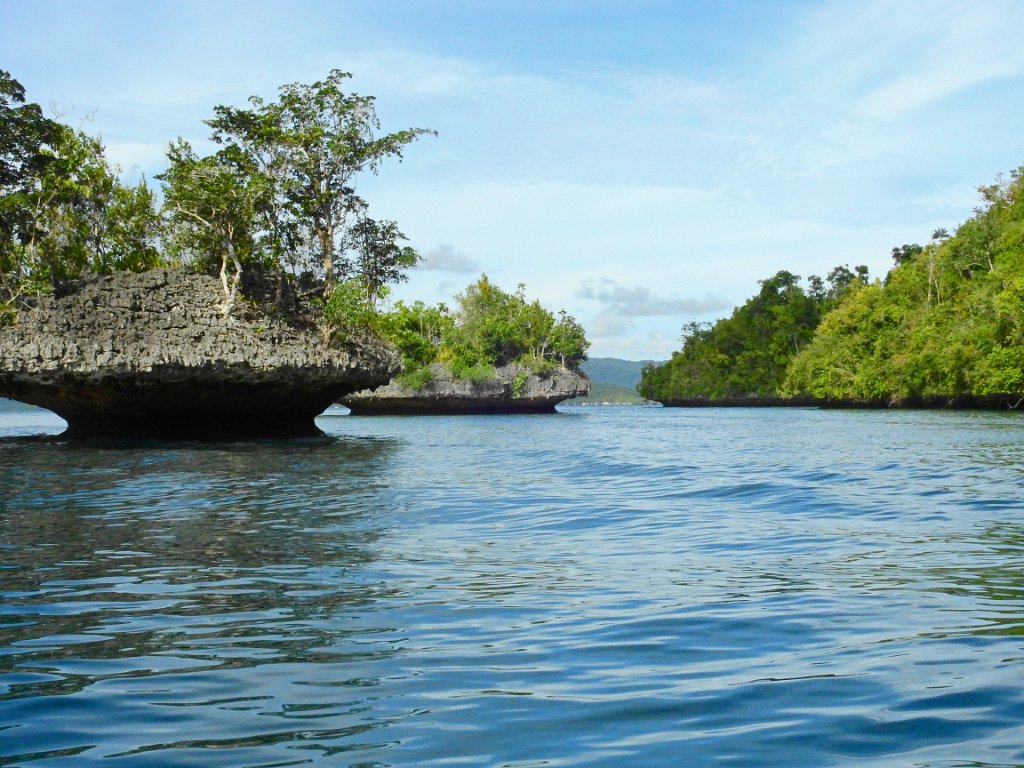 Boottocht langs de eilandjes [00764] 29-jul-2018 (Raja Ampat, Waigeo).jpg - Boottocht langs de eilandjes