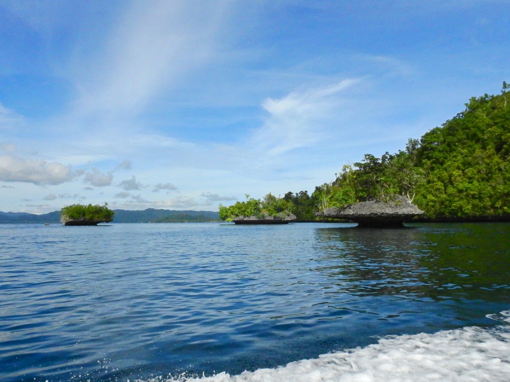 Boottocht langs de eilandjes [00765] 29-jul-2018 (Raja Ampat, Waigeo).jpg - Boottocht langs de eilandjes
