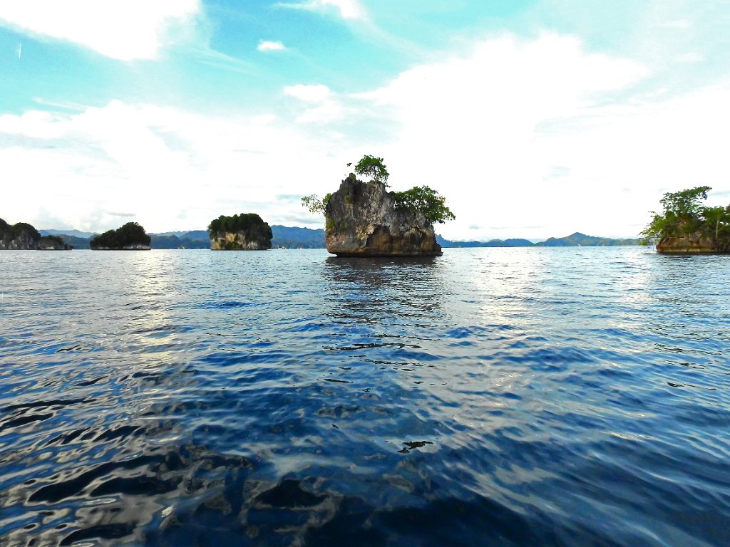 Boottocht langs de eilandjes [00780] 29-jul-2018 (Raja Ampat, Waigeo).jpg - Boottocht langs de eilandjes