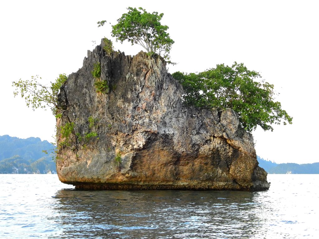 Boottocht langs de eilandjes [00781] 29-jul-2018 (Raja Ampat, Waigeo).jpg - Boottocht langs de eilandjes