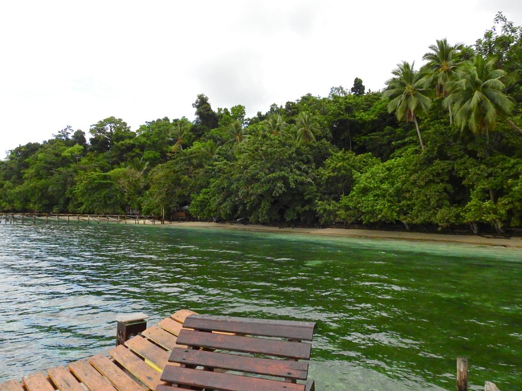 Strand [00734] 29-jul-2018 (Raja Ampat, Waigeo).jpg - Strand