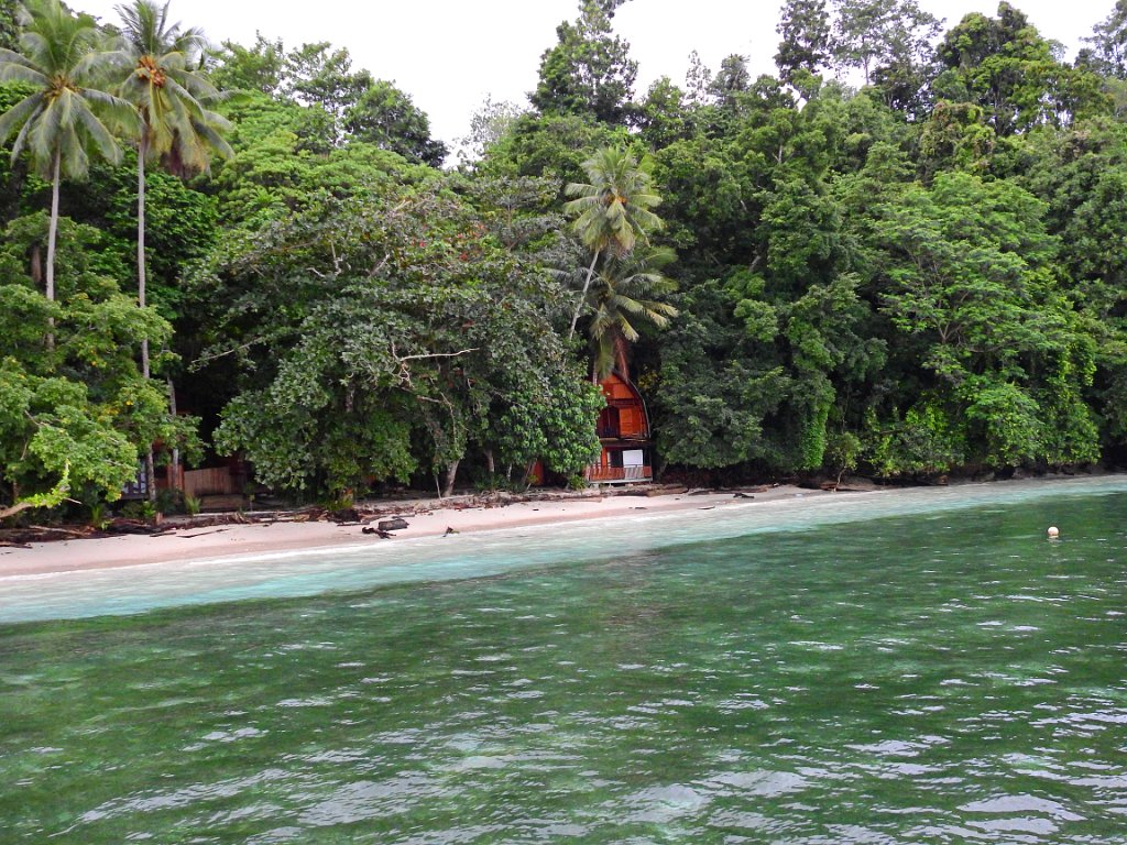 Strand [00736] 29-jul-2018 (Raja Ampat, Waigeo).jpg - Strand