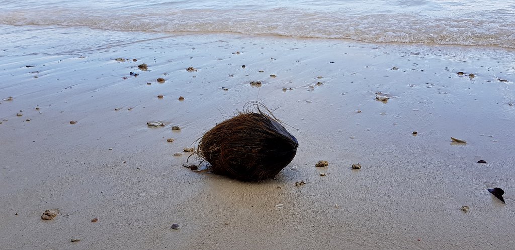 Strand [00739] 29-jul-2018 (Raja Ampat, Waigeo).jpg - Strand