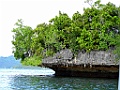 Boottocht langs de eilandjes [00762] 29-jul-2018 (Raja Ampat, Waigeo)