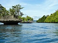 Boottocht langs de eilandjes [00764] 29-jul-2018 (Raja Ampat, Waigeo)