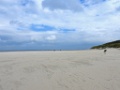 Stand [038] 23-sep-2020 (Cocksdorp, Texel)
